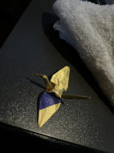 rejas(レジャス) - あいらの女の子ブログ画像