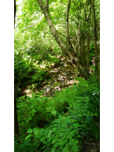 rejas(レジャス) - あいらの女の子ブログ画像