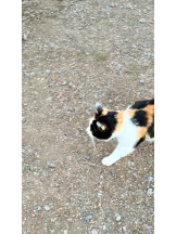 rejas(レジャス) - あいらの女の子ブログ画像