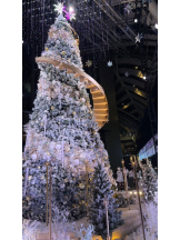 はっち８ - れいかの女の子ブログ画像