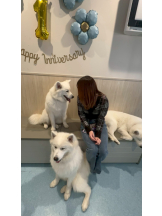 Club PiPi - 顔面国宝りあの女の子ブログ画像