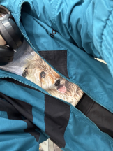 Beauty Street - みらいの女の子ブログ画像