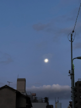 Beauty Street - みらいの女の子ブログ画像