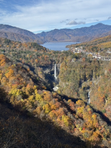 JULIE＆ANNA Tokyo - こあの女の子ブログ画像
