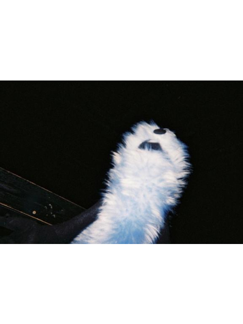 女の子ブログ添付画像1