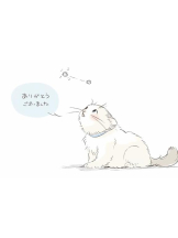 Felice(フェリス) - しほの女の子ブログ画像