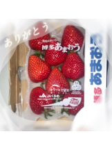 Felice(フェリス) - しほの女の子ブログ画像