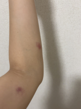 Club PiPi - つかさの女の子ブログ画像