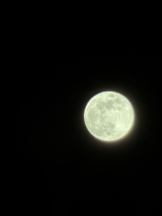 Club PiPi - つかさの女の子ブログ画像