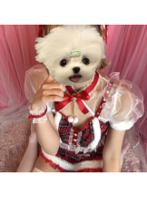 エスギャラクシー - ちかの女の子ブログ画像