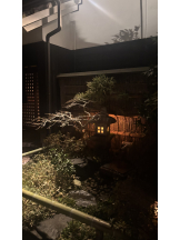 武蔵小杉 シュシュ - あみの女の子ブログ画像