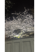 武蔵小杉 シュシュ - あみの女の子ブログ画像