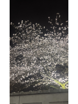 武蔵小杉 シュシュ - あみの女の子ブログ画像