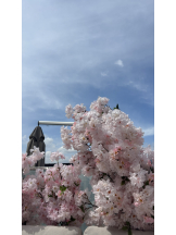 武蔵小杉 シュシュ - あみの女の子ブログ画像