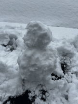 シナモン - あすかの女の子ブログ画像