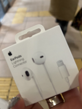 シナモン - あすかの女の子ブログ画像