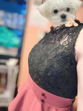 ビアガーデンカーニバル - りほの女の子ブログ画像