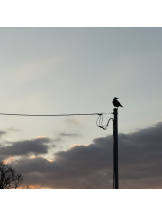 Candy kiss - ももの女の子ブログ画像