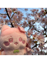 Candy kiss - ももの女の子ブログ画像