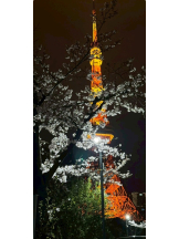 Alegria - かるあの女の子ブログ画像