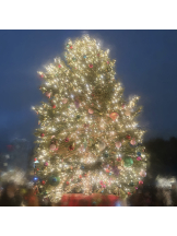 CLUB KAKUREGA - ももの女の子ブログ画像