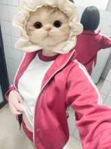 アキバの放課後 - らんの女の子ブログ画像