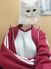 アキバの放課後 - らんの女の子ブログ画像