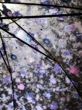 武蔵小杉 シュシュ - なおの女の子ブログ画像