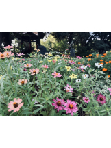 武蔵小杉 シュシュ - なおの女の子ブログ画像