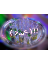 武蔵小杉 シュシュ - なおの女の子ブログ画像