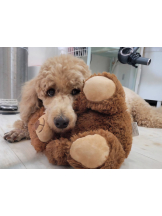 CLUB KAKUREGA - るなの女の子ブログ画像