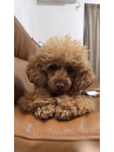 CLUB KAKUREGA - るなの女の子ブログ画像