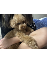 CLUB KAKUREGA - るなの女の子ブログ画像