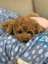 CLUB KAKUREGA - るなの女の子ブログ画像