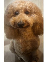 CLUB KAKUREGA - るなの女の子ブログ画像