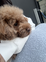 CLUB KAKUREGA - るなの女の子ブログ画像