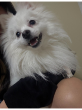 CLUB KAKUREGA - るなの女の子ブログ画像