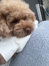 CLUB KAKUREGA - るなの女の子ブログ画像