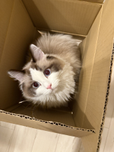 CLUB KAKUREGA - るなの女の子ブログ画像