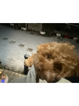 CLUB KAKUREGA - るなの女の子ブログ画像