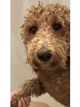 CLUB KAKUREGA - るなの女の子ブログ画像