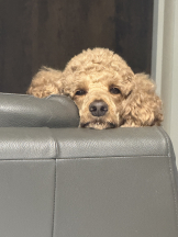 CLUB KAKUREGA - るなの女の子ブログ画像