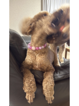 CLUB KAKUREGA - るなの女の子ブログ画像