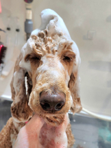 CLUB KAKUREGA - るなの女の子ブログ画像