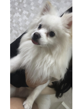 CLUB KAKUREGA - るなの女の子ブログ画像