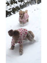 CLUB KAKUREGA - るなの女の子ブログ画像