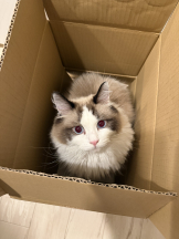 CLUB KAKUREGA - るなの女の子ブログ画像