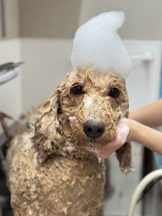 CLUB KAKUREGA - るなの女の子ブログ画像