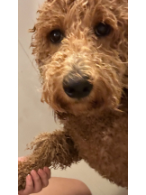 CLUB KAKUREGA - るなの女の子ブログ画像