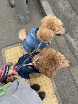 CLUB KAKUREGA - るなの女の子ブログ画像